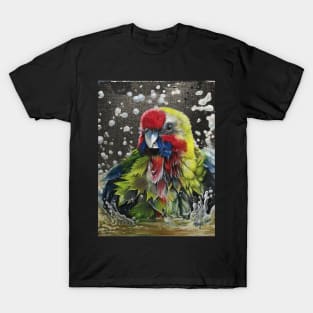 Australian Rosella Bathing T-Shirt